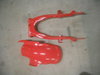 bike paint 001.JPG