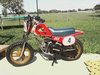 Honda50.jpg