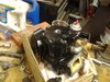 20130527_141045.jpg